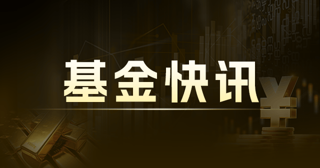 天弘中证 500ETF 联接 A：净值波动与持仓 000962