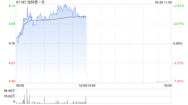 加科思-B早盘涨逾7% 本年内累计涨幅逾300%